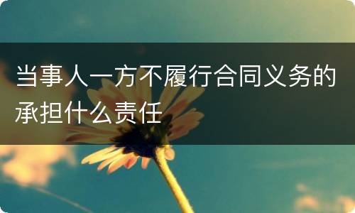 当事人一方不履行合同义务的承担什么责任