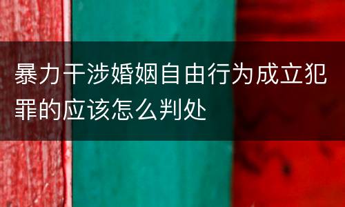 暴力干涉婚姻自由行为成立犯罪的应该怎么判处