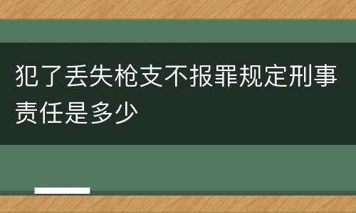 犯了丢失枪支不报罪规定刑事责任是多少