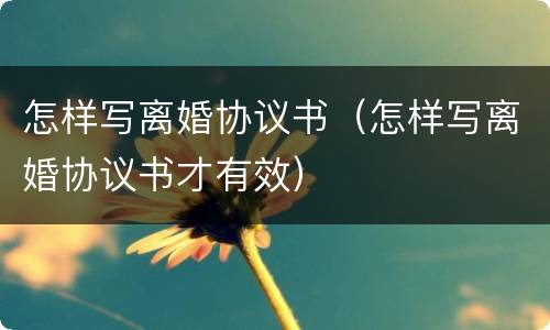 怎样写离婚协议书（怎样写离婚协议书才有效）