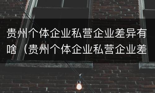 贵州个体企业私营企业差异有啥（贵州个体企业私营企业差异有啥变化）