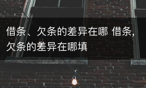 借条、欠条的差异在哪 借条,欠条的差异在哪填