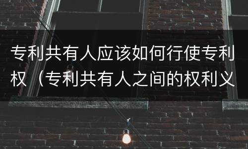专利共有人应该如何行使专利权（专利共有人之间的权利义务关系）