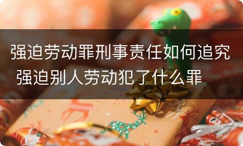 强迫劳动罪刑事责任如何追究 强迫别人劳动犯了什么罪