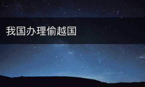 我国办理偷越国