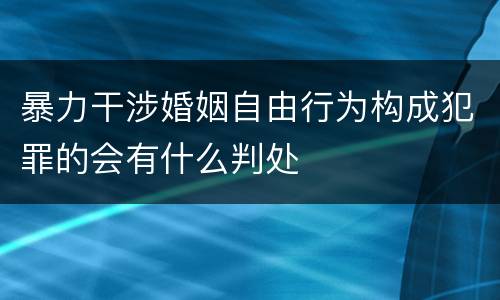 暴力干涉婚姻自由行为构成犯罪的会有什么判处