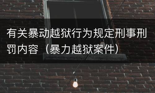 有关暴动越狱行为规定刑事刑罚内容（暴力越狱案件）