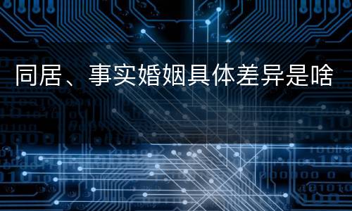 同居、事实婚姻具体差异是啥