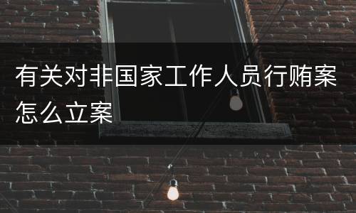 有关对非国家工作人员行贿案怎么立案