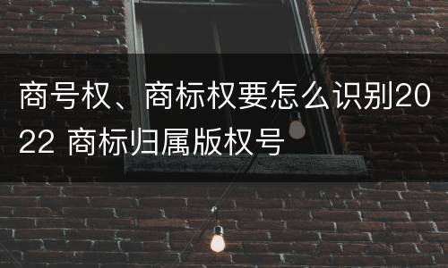 商号权、商标权要怎么识别2022 商标归属版权号