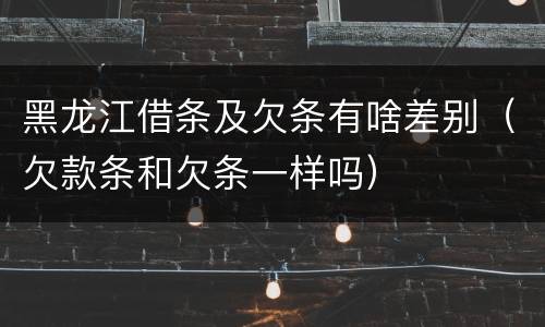 黑龙江借条及欠条有啥差别（欠款条和欠条一样吗）