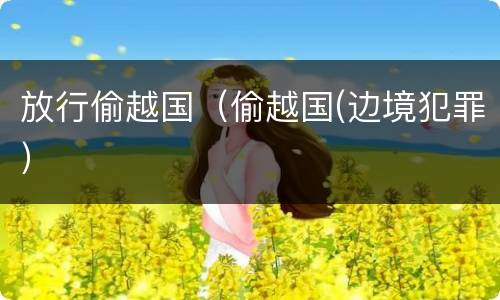 放行偷越国（偷越国(边境犯罪）