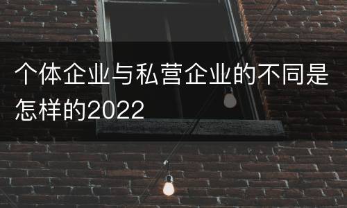 个体企业与私营企业的不同是怎样的2022