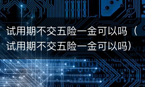试用期不交五险一金可以吗（试用期不交五险一金可以吗）