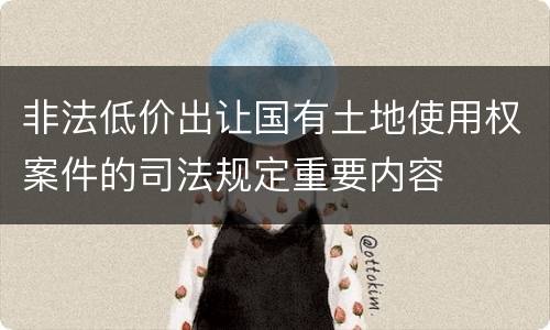 非法低价出让国有土地使用权案件的司法规定重要内容