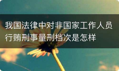 我国法律中对非国家工作人员行贿刑事量刑档次是怎样
