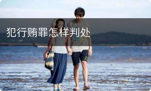 犯行贿罪怎样判处