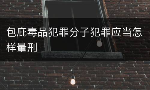 包庇毒品犯罪分子犯罪应当怎样量刑