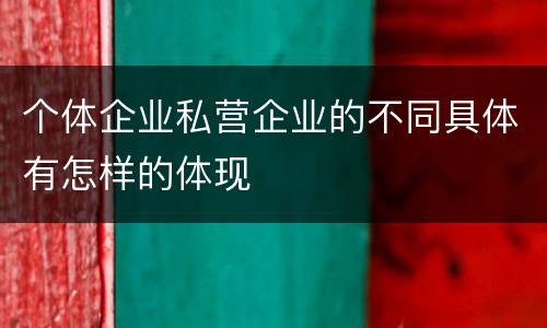个体企业私营企业的不同具体有怎样的体现