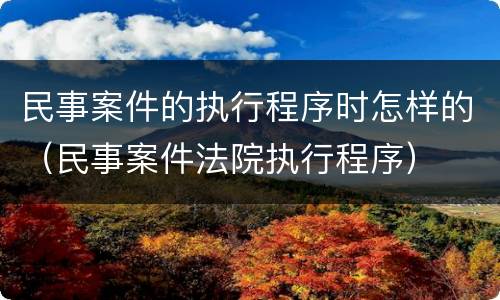 民事案件的执行程序时怎样的（民事案件法院执行程序）