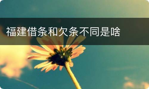 福建借条和欠条不同是啥