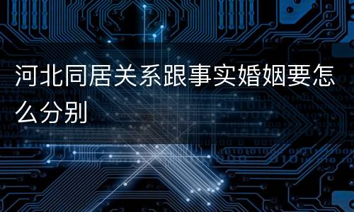 河北同居关系跟事实婚姻要怎么分别