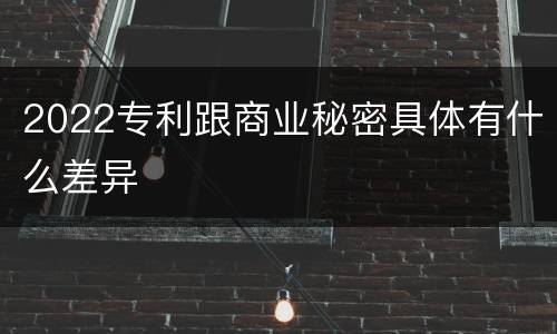 2022专利跟商业秘密具体有什么差异