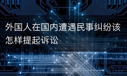外国人在国内遭遇民事纠纷该怎样提起诉讼