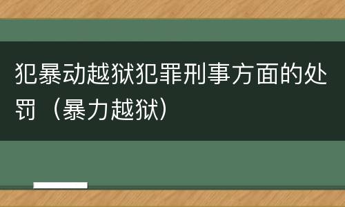 犯暴动越狱犯罪刑事方面的处罚（暴力越狱）