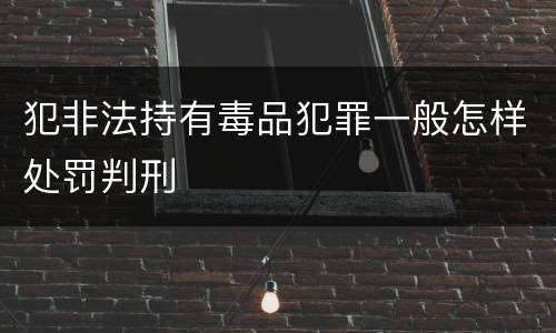 犯非法持有毒品犯罪一般怎样处罚判刑