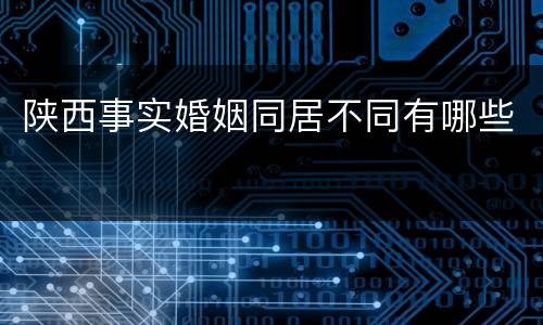陕西事实婚姻同居不同有哪些