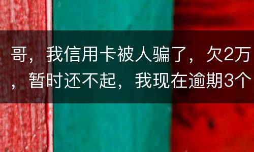 哥，我信用卡被人骗了，欠2万，暂时还不起，我现在逾期3个月了？我会不会坐牢。