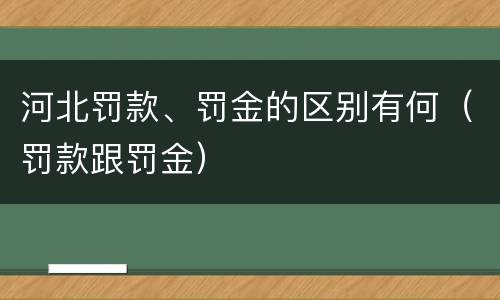 河北罚款、罚金的区别有何（罚款跟罚金）