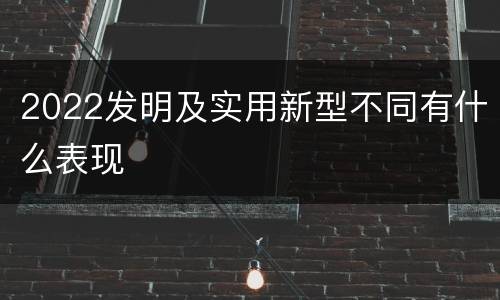 2022发明及实用新型不同有什么表现