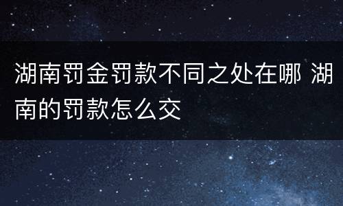 湖南罚金罚款不同之处在哪 湖南的罚款怎么交