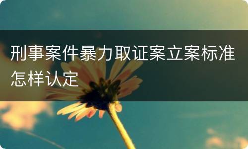 刑事案件暴力取证案立案标准怎样认定