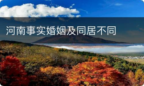 河南事实婚姻及同居不同