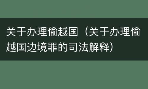 关于办理偷越国（关于办理偷越国边境罪的司法解释）