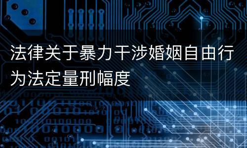 法律关于暴力干涉婚姻自由行为法定量刑幅度