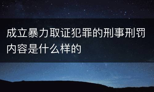 成立暴力取证犯罪的刑事刑罚内容是什么样的