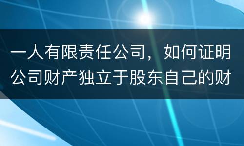 一人有限责任公司，如何证明公司财产独立于股东自己的财产
