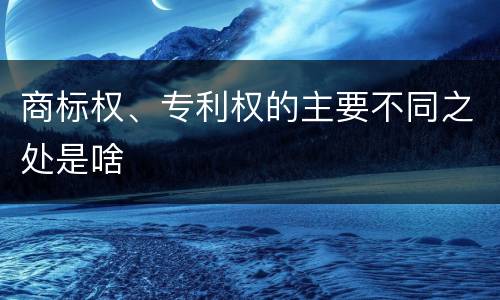 商标权、专利权的主要不同之处是啥