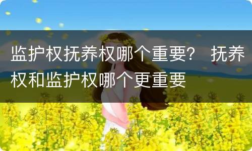 监护权抚养权哪个重要？ 抚养权和监护权哪个更重要