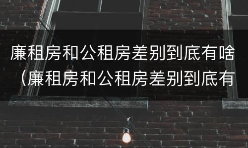 廉租房和公租房差别到底有啥（廉租房和公租房差别到底有啥影响）