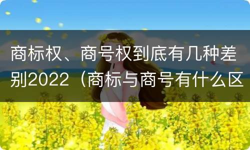 商标权、商号权到底有几种差别2022（商标与商号有什么区别）
