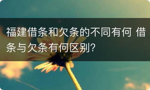 福建借条和欠条的不同有何 借条与欠条有何区别?