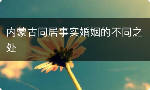 内蒙古同居事实婚姻的不同之处