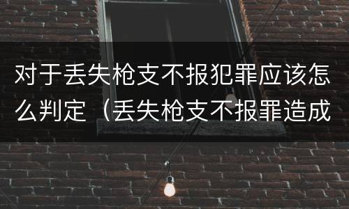 对于丢失枪支不报犯罪应该怎么判定（丢失枪支不报罪造成后果）
