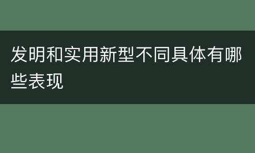 发明和实用新型不同具体有哪些表现