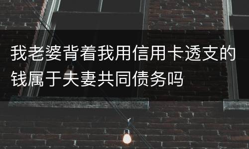我老婆背着我用信用卡透支的钱属于夫妻共同债务吗